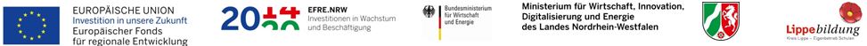 Fördermittelhinweis Klein Alle